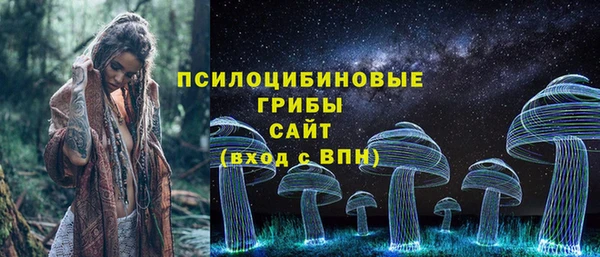 прущие крисы Пересвет