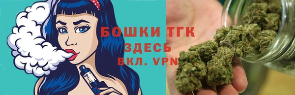 прущие крисы Пересвет