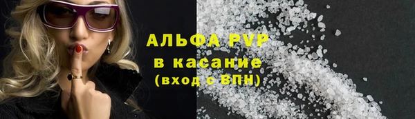 прущие крисы Пересвет