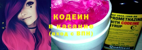 прущие крисы Пересвет