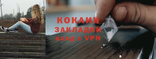 ешки Ельня