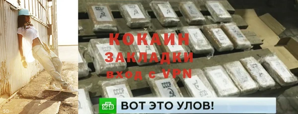прущие крисы Пересвет
