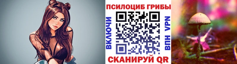 Псилоцибиновые грибы мицелий  где купить   Армянск 